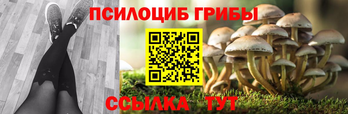 Псилоцибиновые грибы MAGIC MUSHROOMS  Вход с VPN  Нижневартовск 